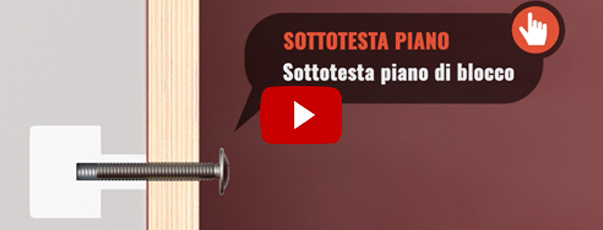 Ambrovit-vite-testa-bombata-larga-combi-ranellata-pz